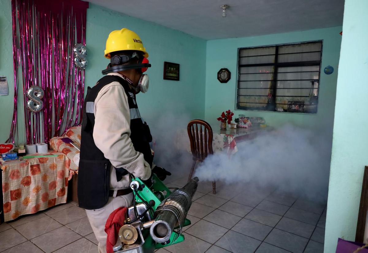 Michoacán se mantiene en lucha y prevención contra el dengue: SSM