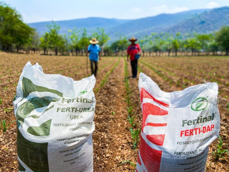 programa Fertilizantes Bienestar agricultores méxico