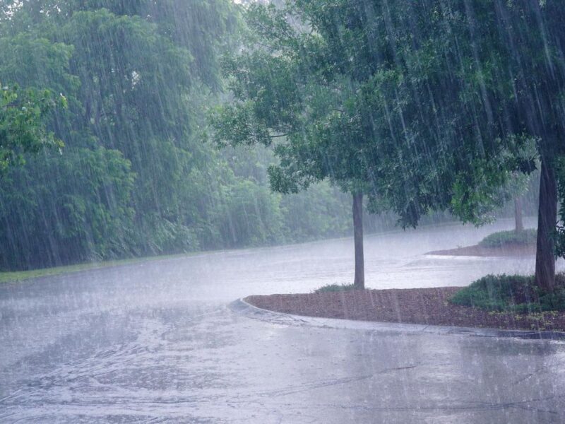 pronóstico de lluvias en México