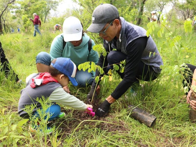 reforestación áreas naturales protegidas morelia