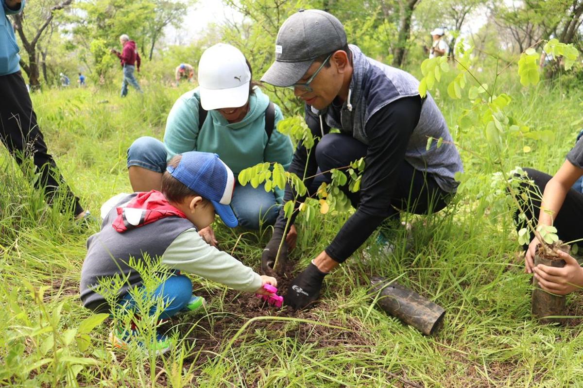 reforestación áreas naturales protegidas morelia