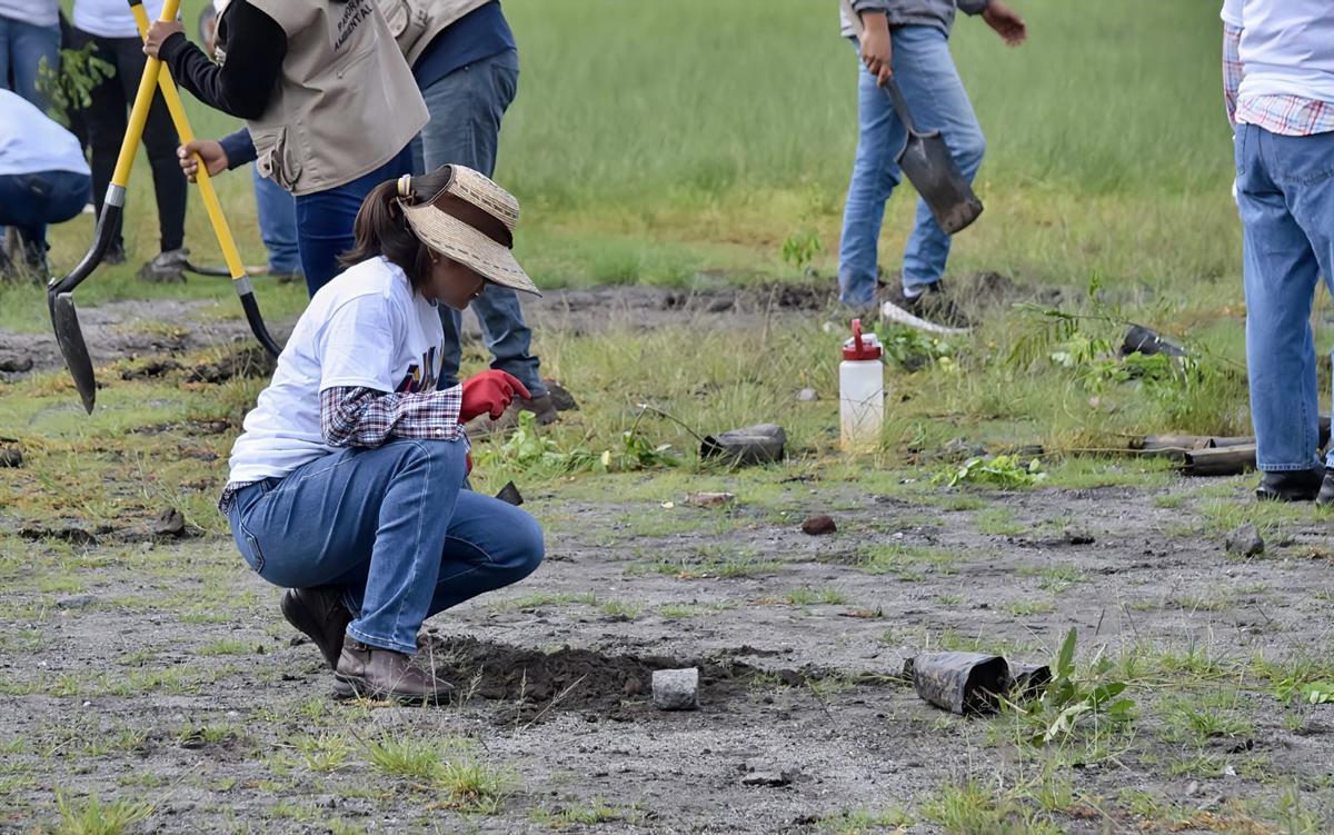 reforestación lago Cuitzeo jóvenes michoacán