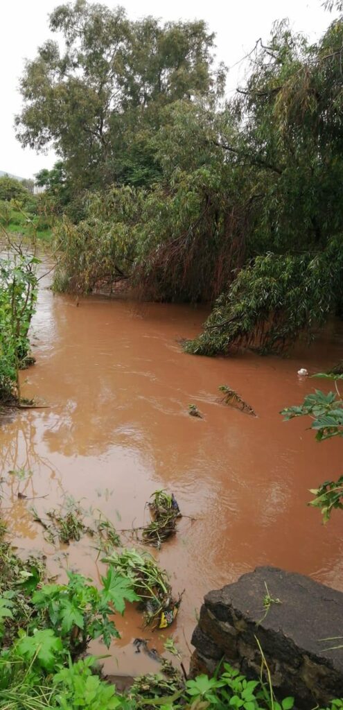 ríos en Morelia se reportan a tope por lluvias recientes