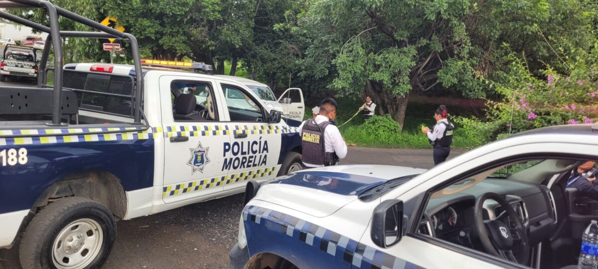 Persona se cuelga de un árbol; suicidio en Morelia