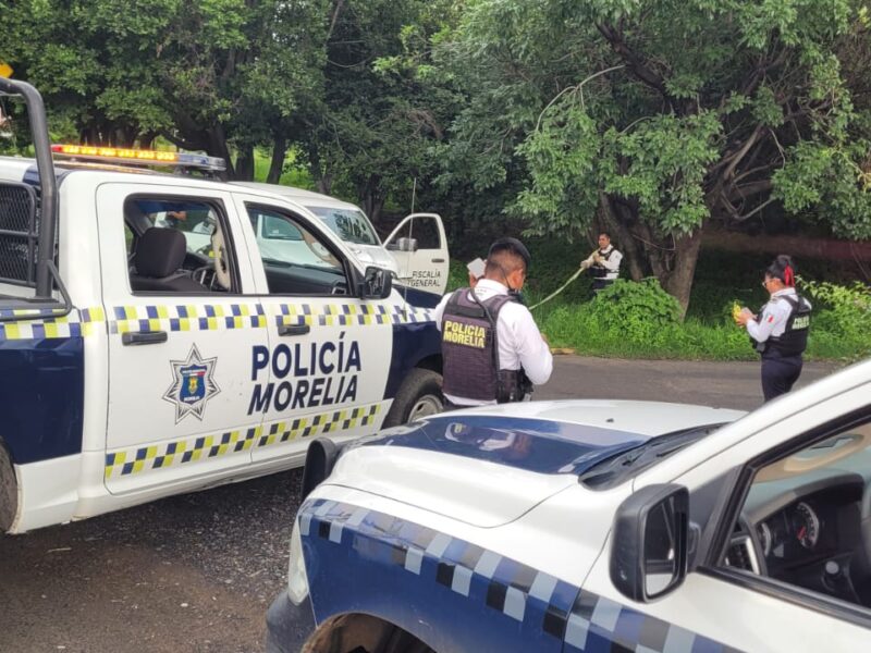 Persona se cuelga de un árbol; suicidio en Morelia