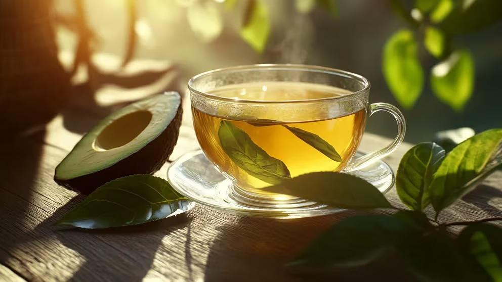 Beneficios Té de hojas de aguacate