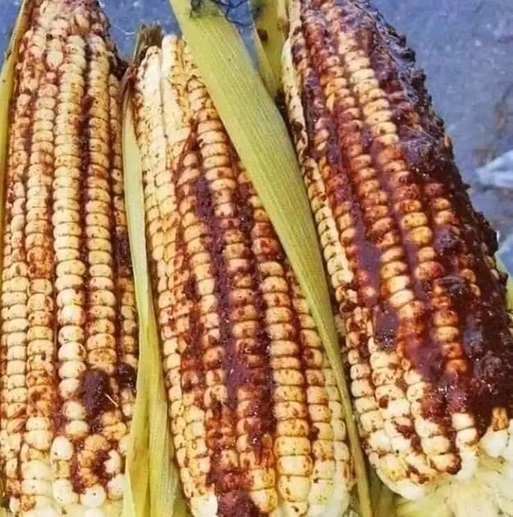 ciudad en México tendrá prohibida la venta de elotes en Grito de Independencia