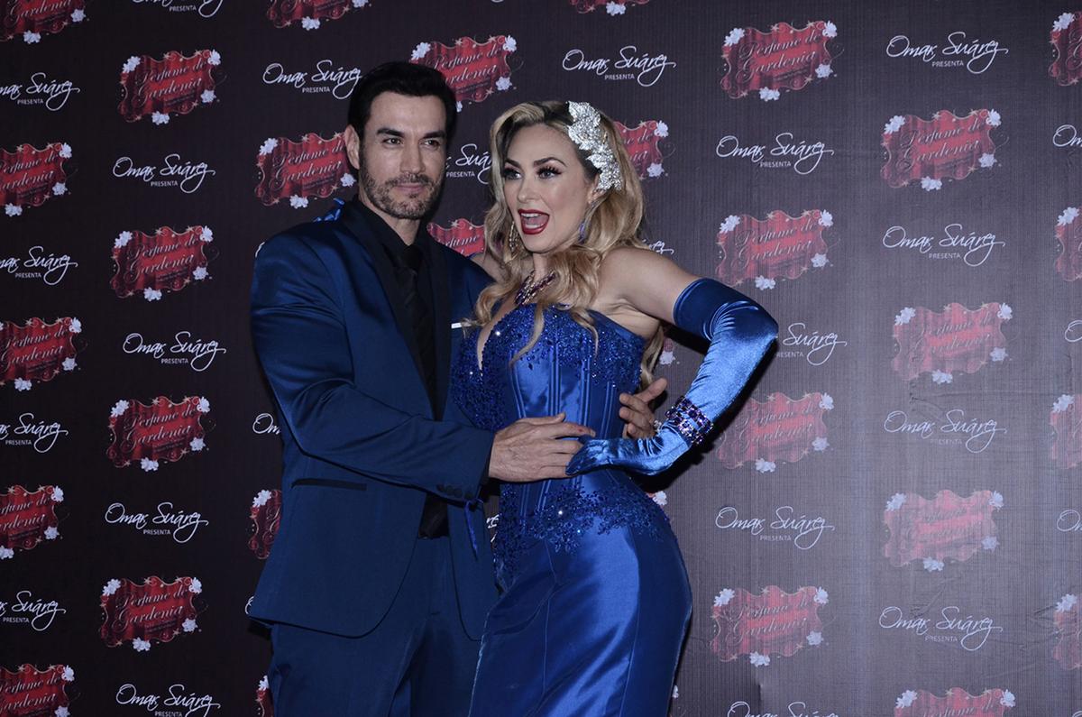 David Zepeda defiende a Aracely Arámbula tras polémica