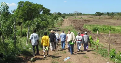 desplazados por violencia en Michoacán