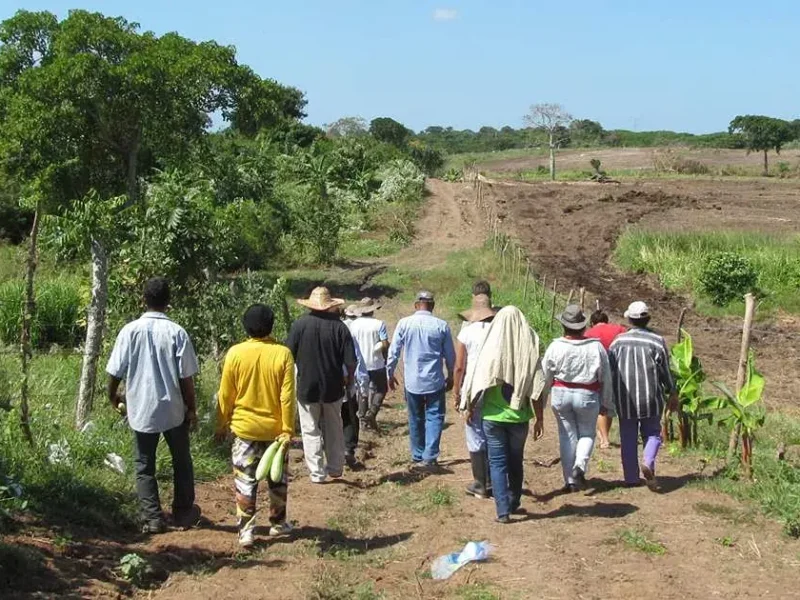 211 desplazados por violencia en Michoacán, regresaron a Tancítaro y Buenavista; faltan 242 de El Coire