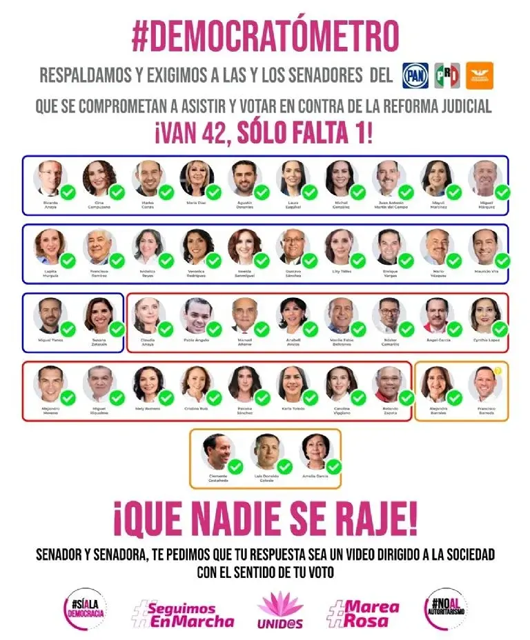 Reforma Judicial Senado Mexicano Votos 1