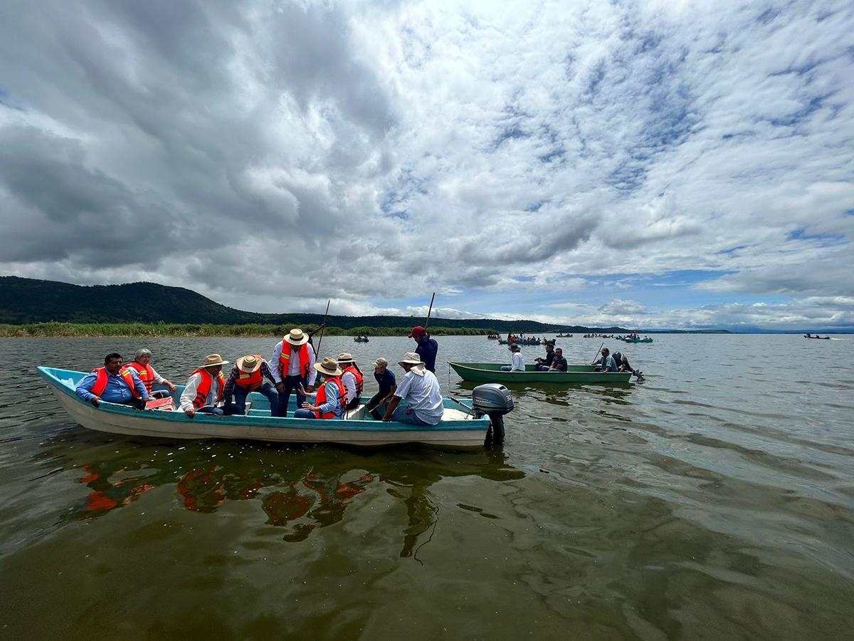 siembra de tilapia en el Lago de Cuitzeo