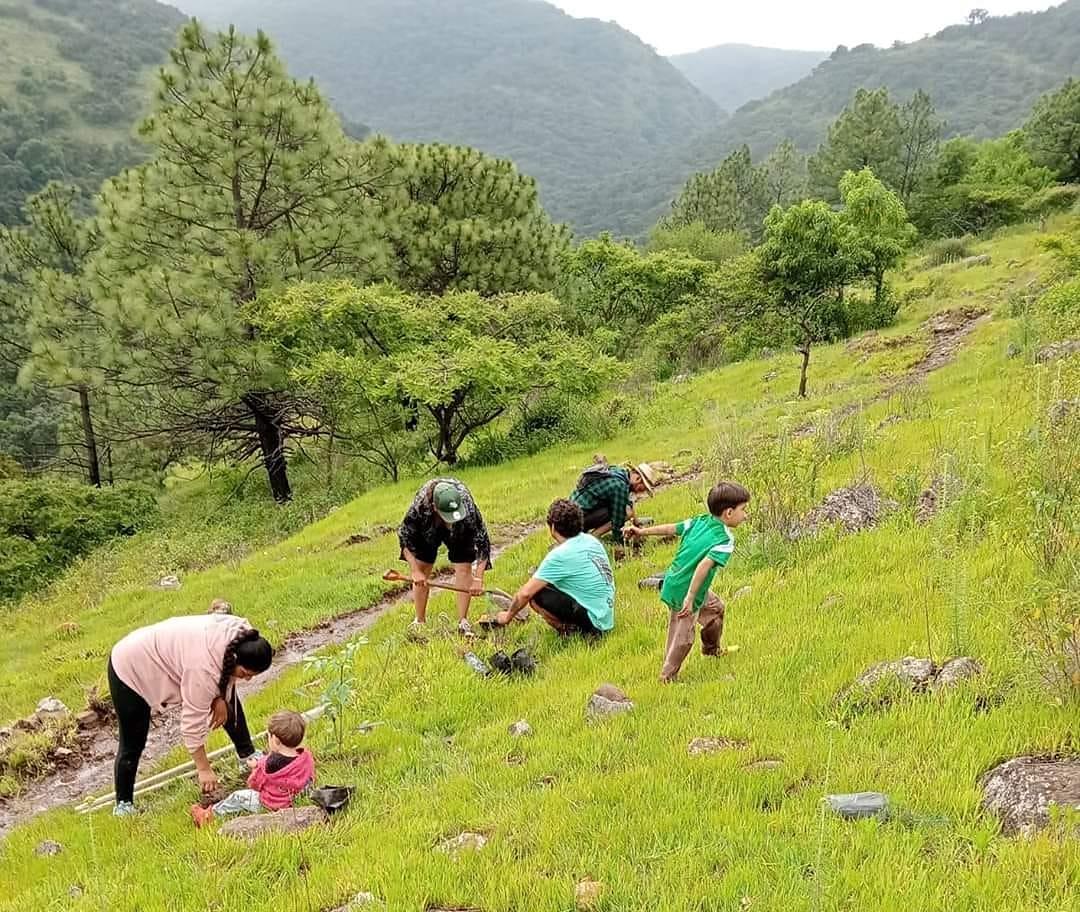 Conoce el “Macondo: Meditaciones de machete y azadón”