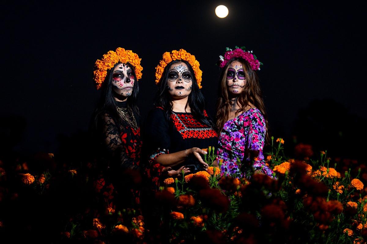 Día de Muertos vs Halloween diferencias