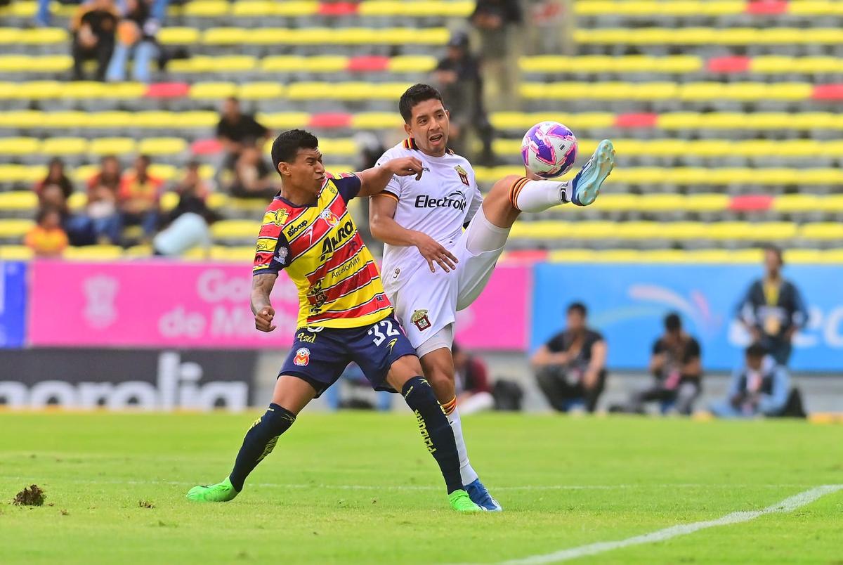 Leones Negros vencen a Canarios