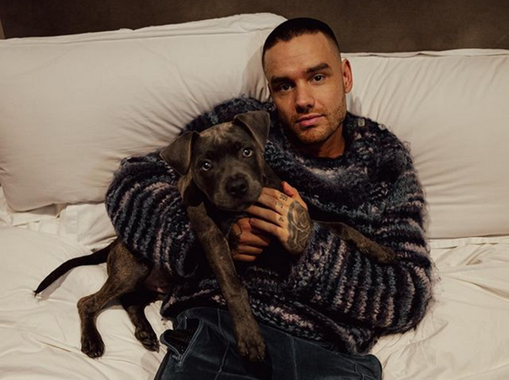 muerte de Liam Payne en Buenos Aires Argentina - mascota