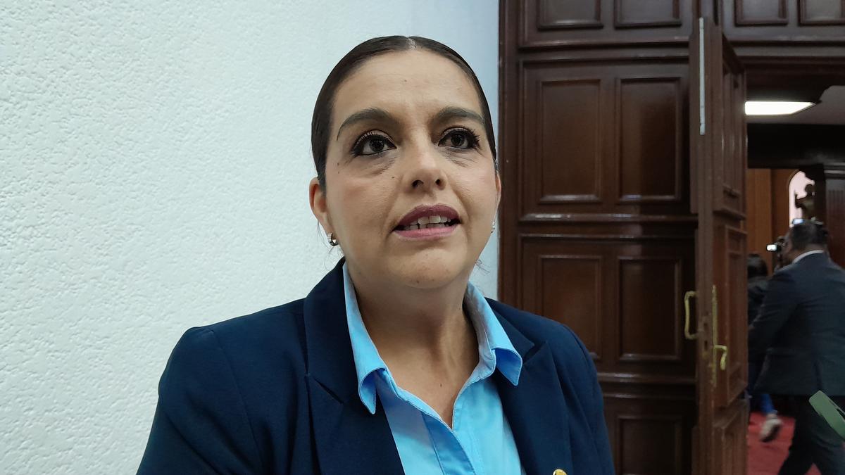 pan voto reforma judicial Michoacán