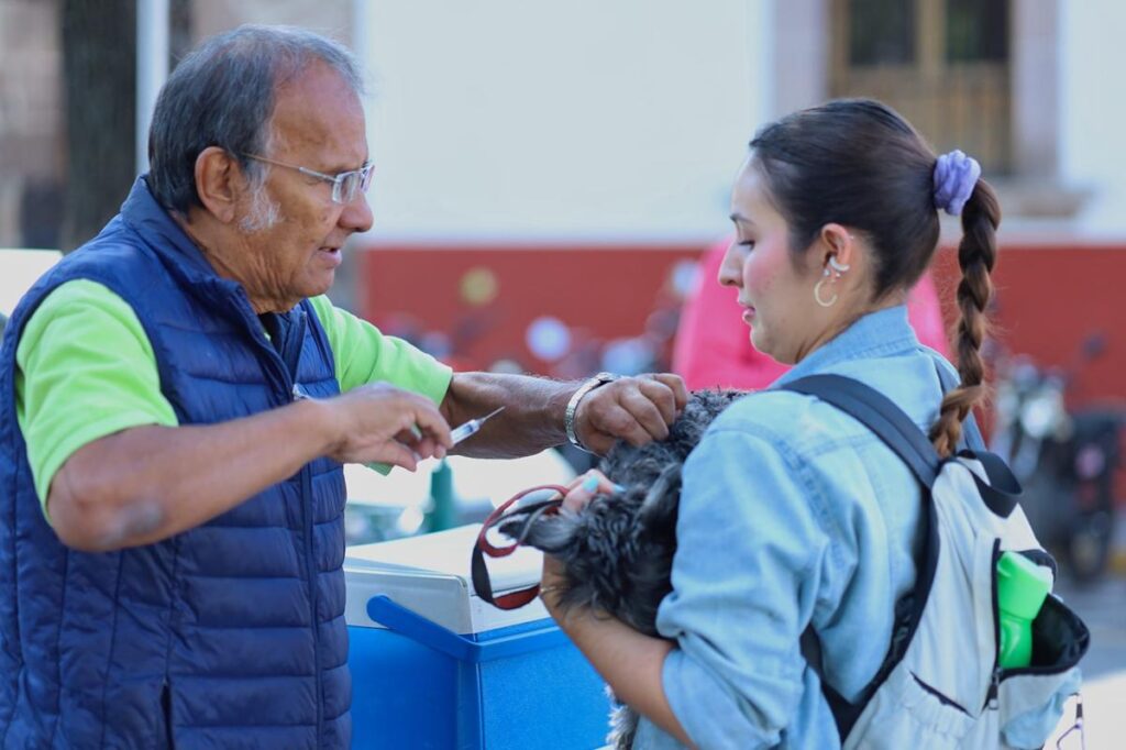 Anuncia SSM vacunación antirrábica para perros y gatos, en Morelia