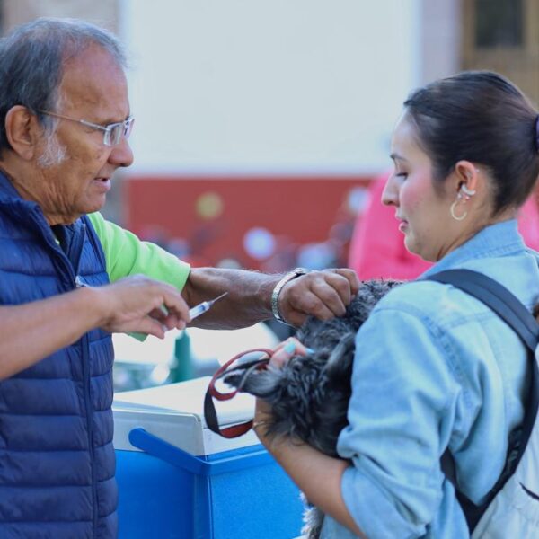 Anuncia SSM vacunación antirrábica para perros y gatos, en Morelia