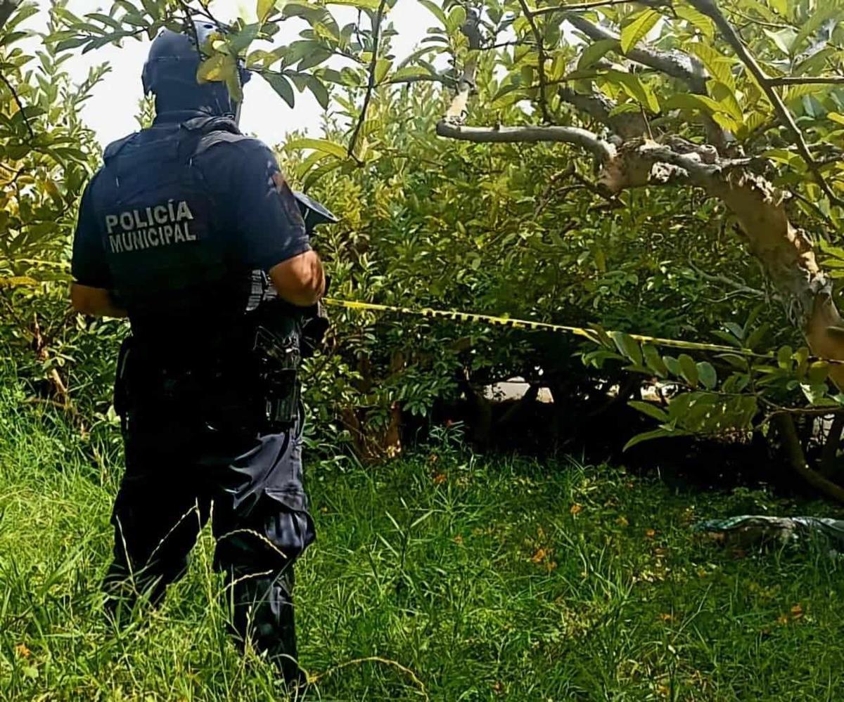 asesinato en huerto de guayabas de Jungapeo