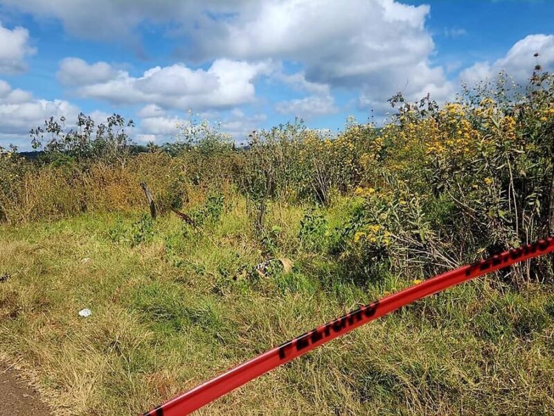 Localizan dos ejecutados a un costado de la carretera en Tangamandapio