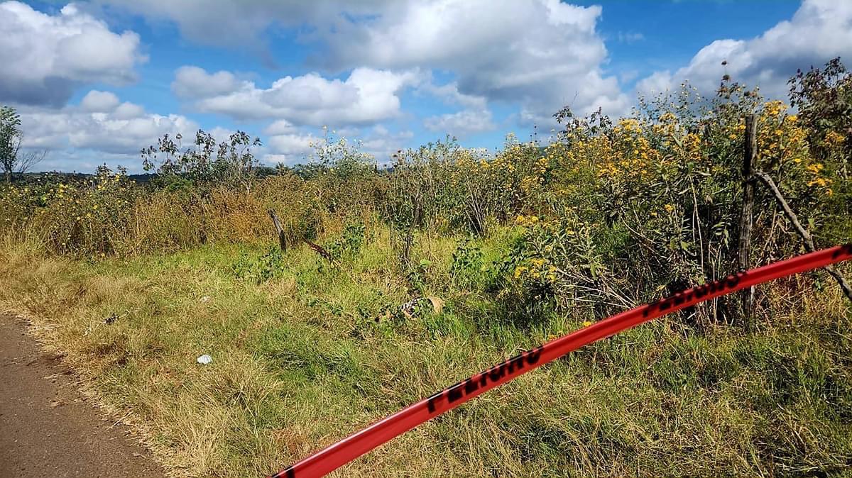 Localizan dos ejecutados a un costado de la carretera en Tangamandapio