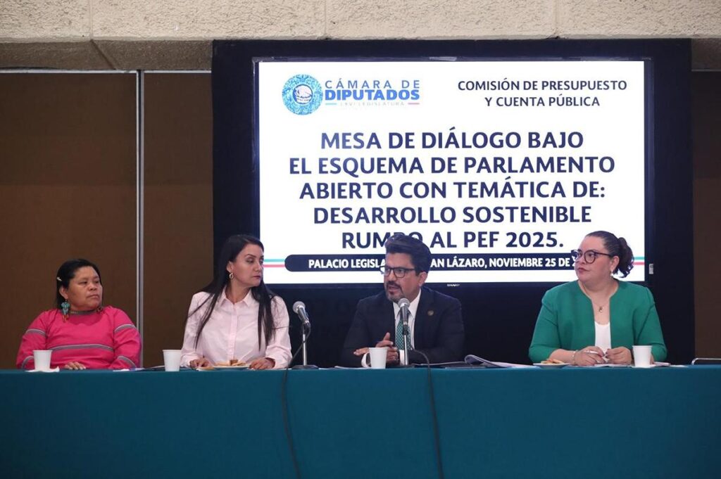 PEF 2025 desarrollo sostenible análisis