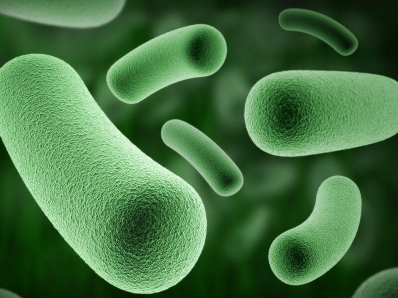 20 casos de menores infectados con bacteria Klebsiella oxytoca-brote