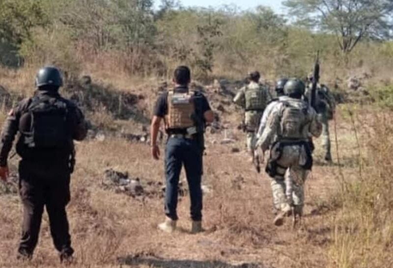 Aseguran 15 artefactos explosivos en Apatzingán