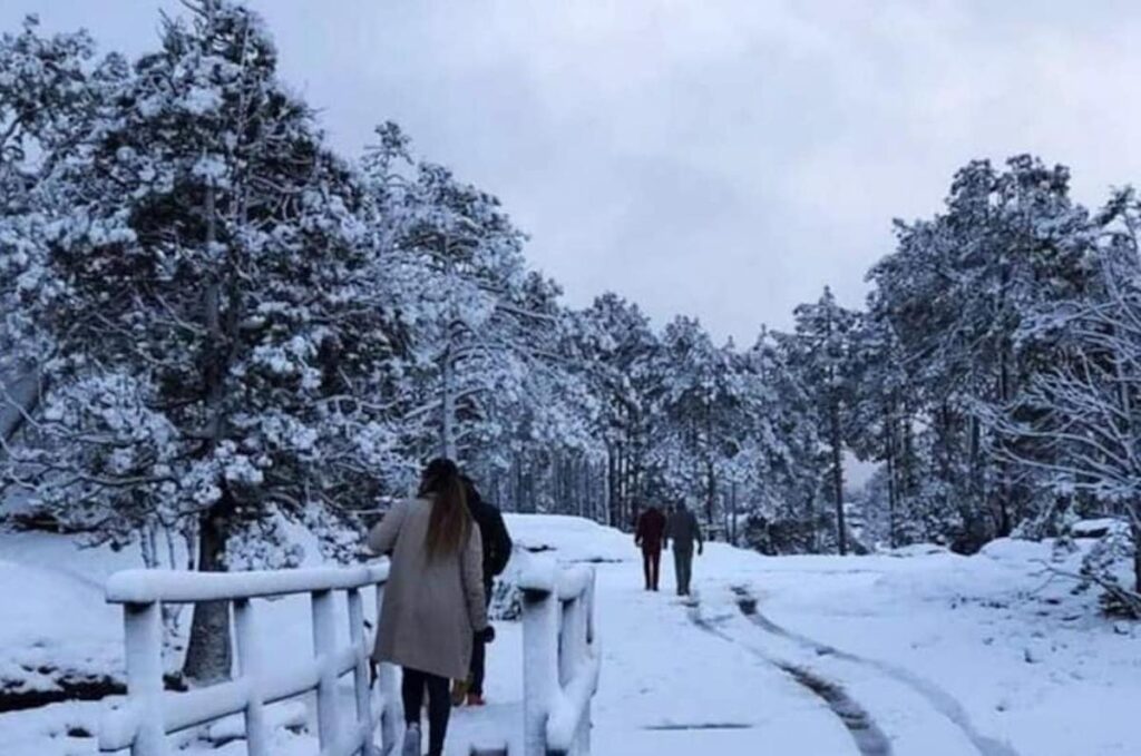 Destinos con nieve en México: cinco lugares para visitar este invierno 2024-2025 Parque