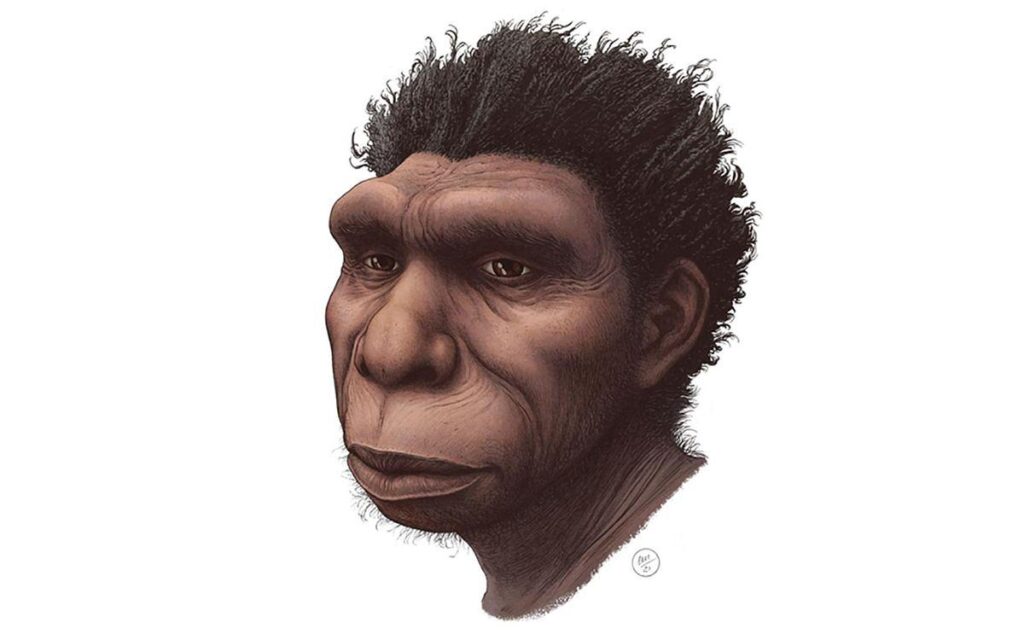 Homo juluensis nueva especie humana