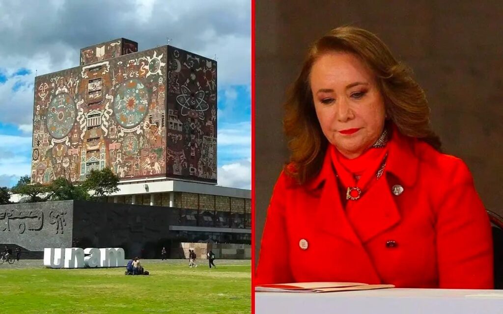 INAI y SCJN, dos puertas que se mantienen abiertas para revisar presunto plagio de Yasmín Esquivel