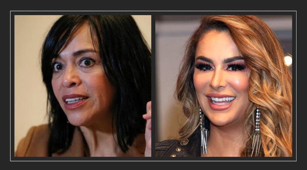 Ninel Conde pierde demanda contra la periodista Anabel Hernández