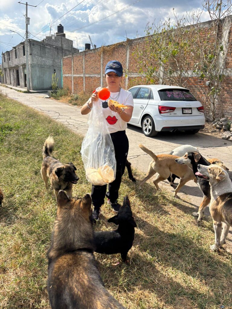 Pancitas Llenas regala amor y esperanza a peluditos sin hogar