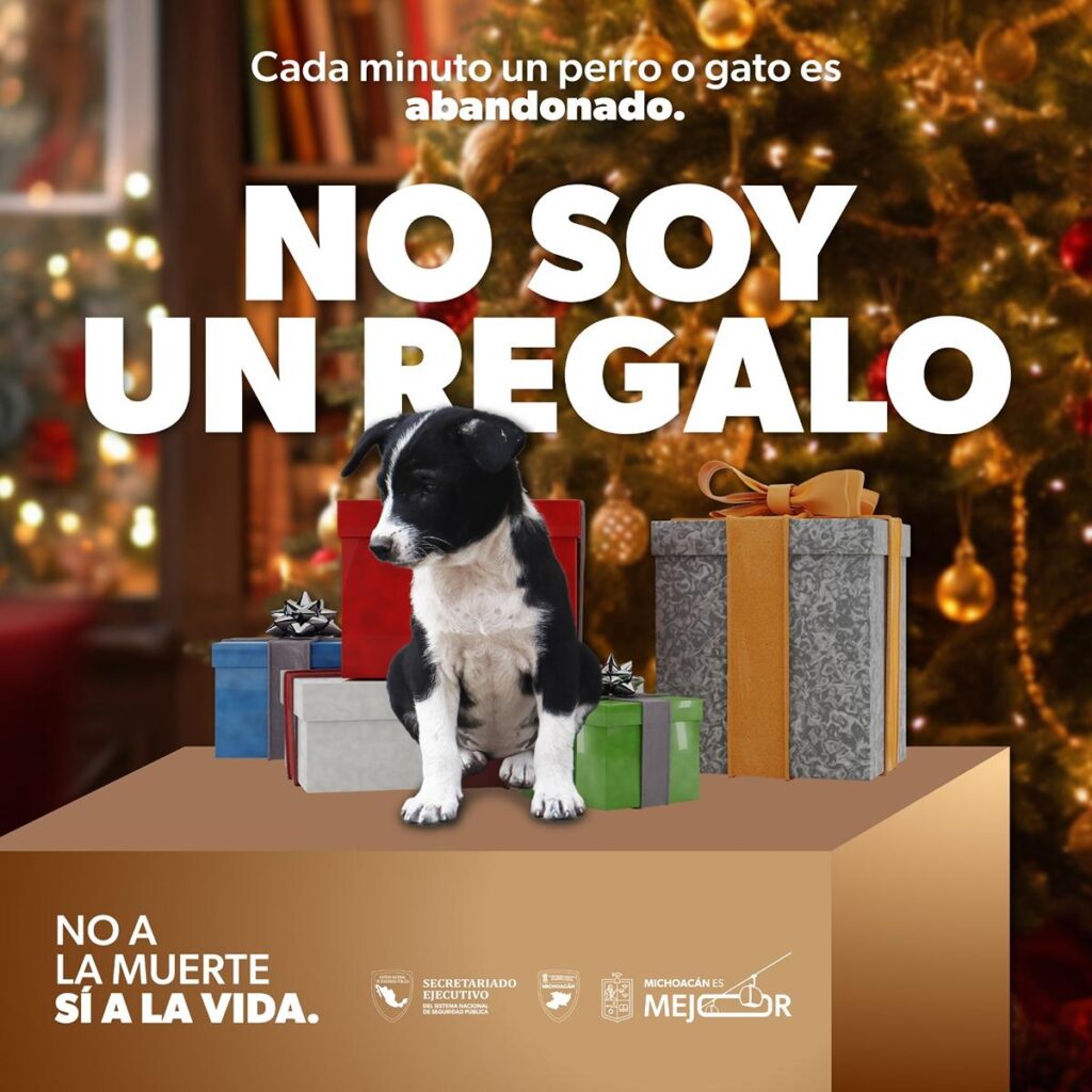 Por esta razón no debes regalar mascotas en Navidad-perro