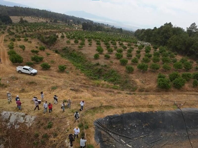 proyectos ambientales Michoacán aumento presupuestal