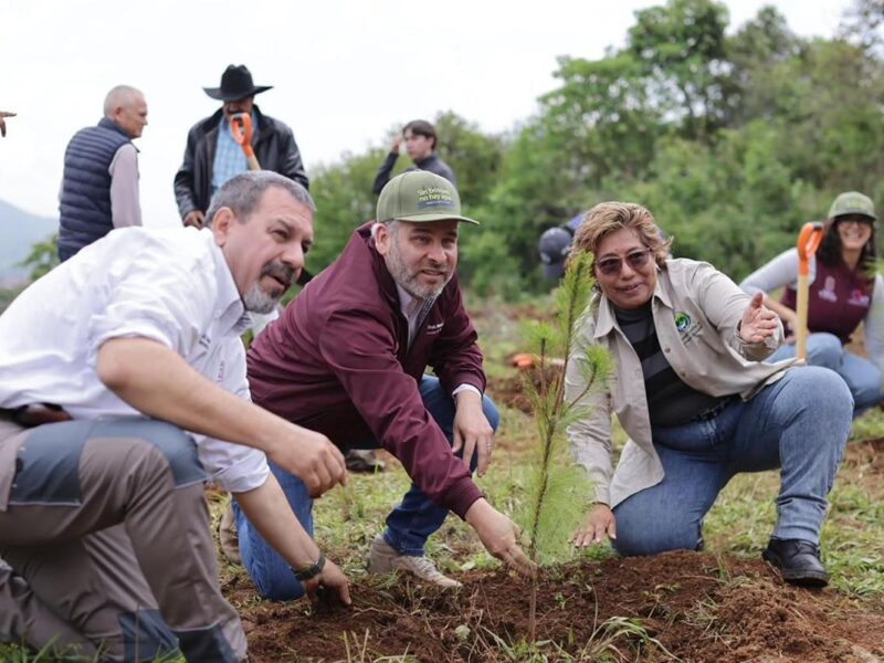 recuperación lago Pátzcuaro plantación árboles