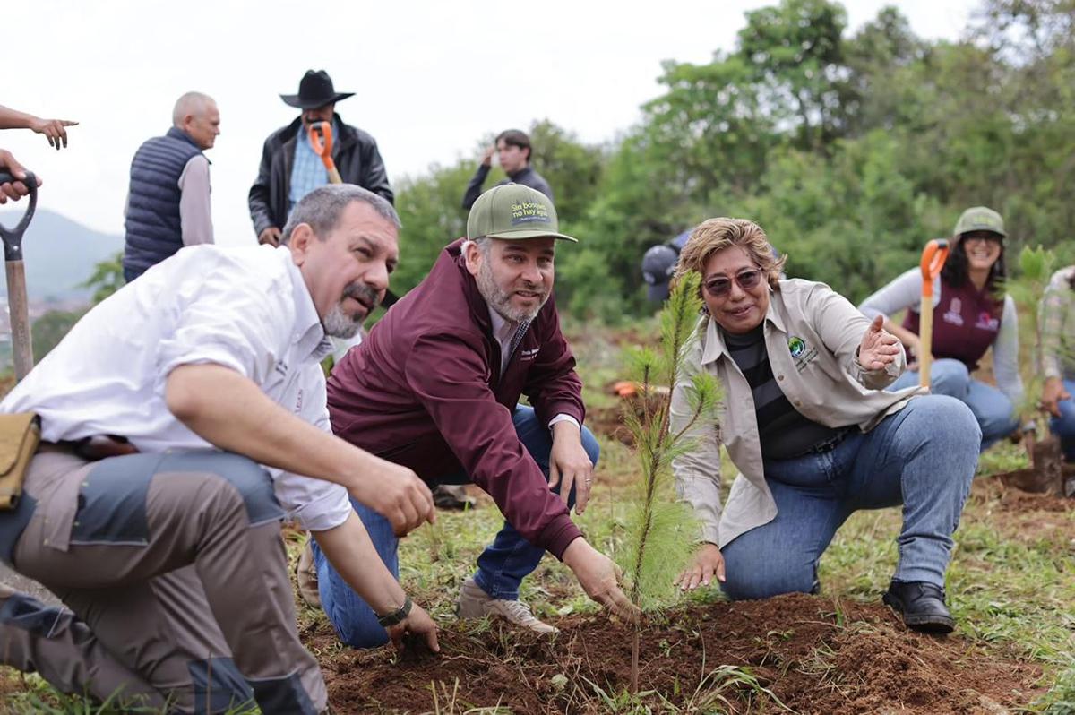 recuperación lago Pátzcuaro plantación árboles