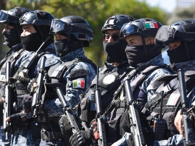 ¿Cuáles fueron los golpes clave contra el narcotráfico en México este 2024