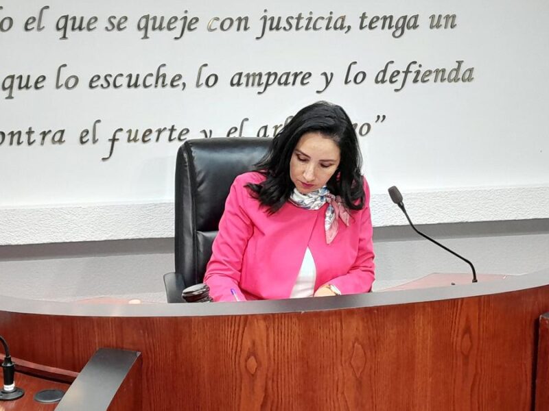 Alma Bahena candidatura para magistratura de Sala Regional