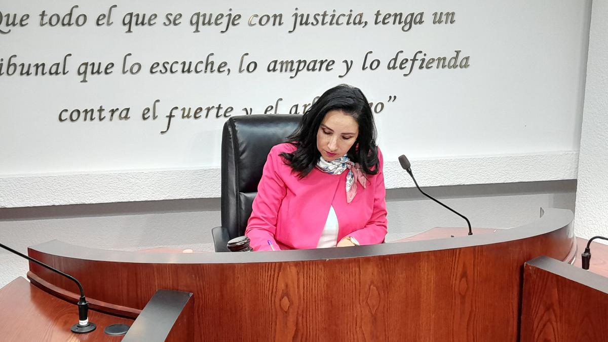 Alma Bahena candidatura para magistratura de Sala Regional