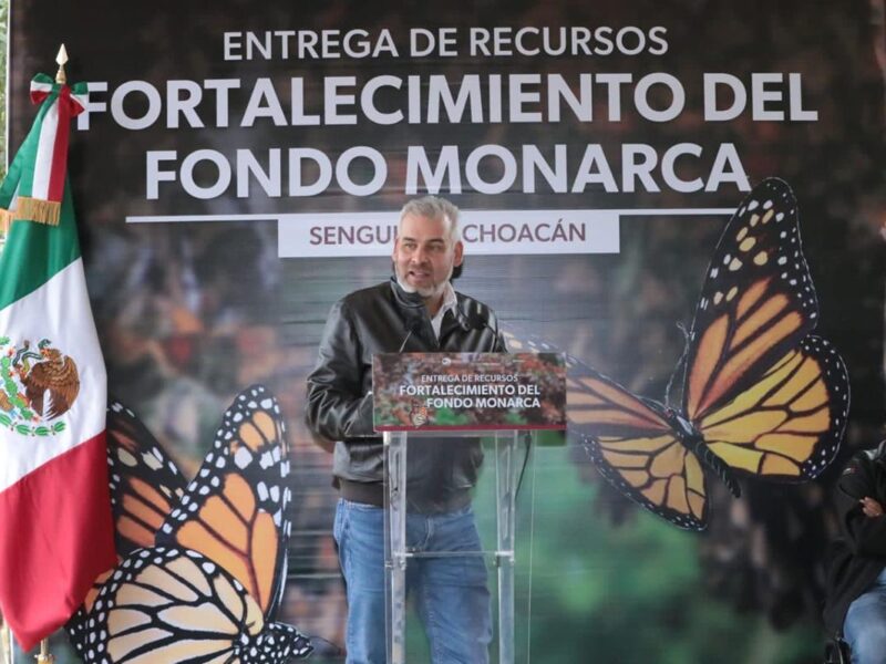 Con Fondo Monarca aumentó pago de servicios ambientales para cuidar la mariposa: Bedolla