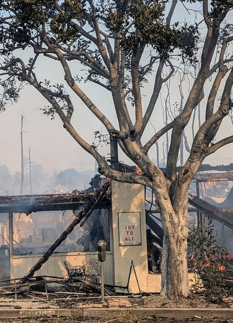 Karla Souza rompe en llanto tras perder su hogar por incendios en Los Ángeles