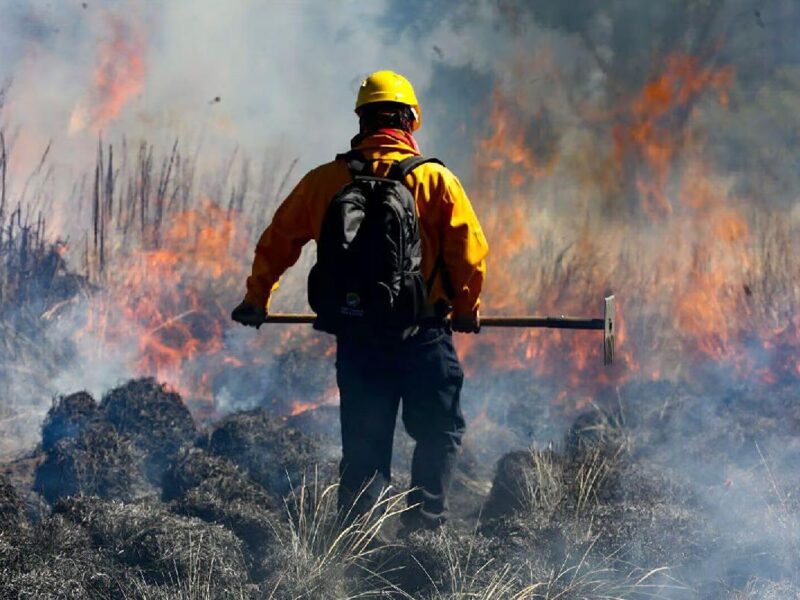 Morelia: hasta 6 incendios diarios en 2024