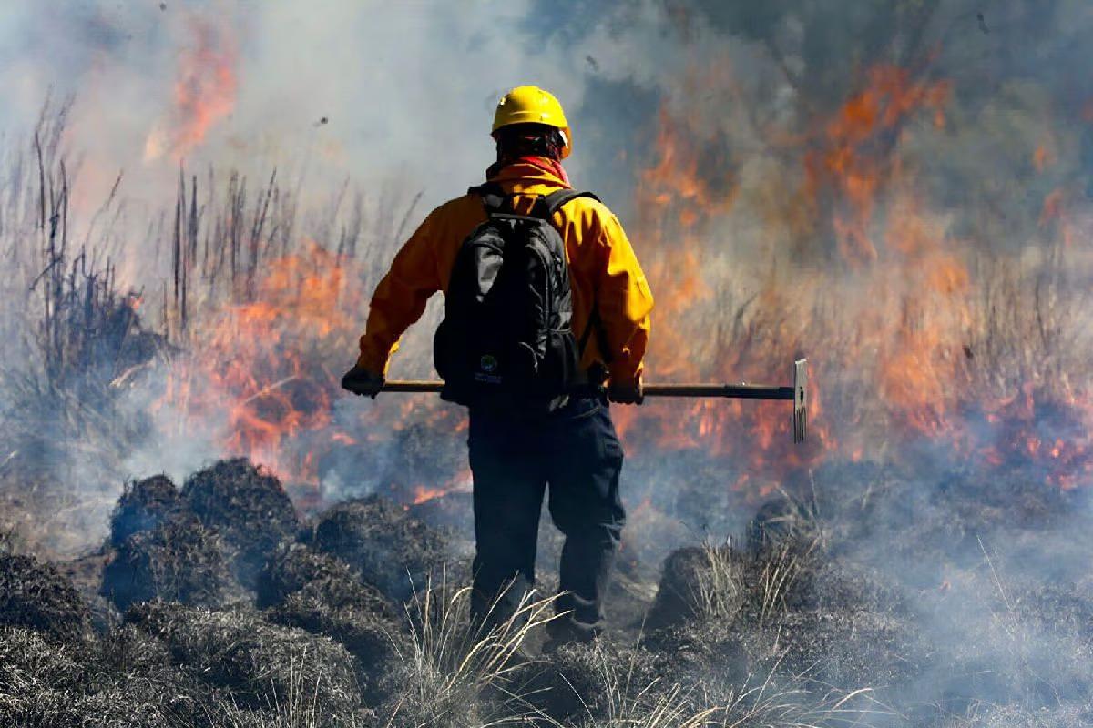 Morelia: hasta 6 incendios diarios en 2024