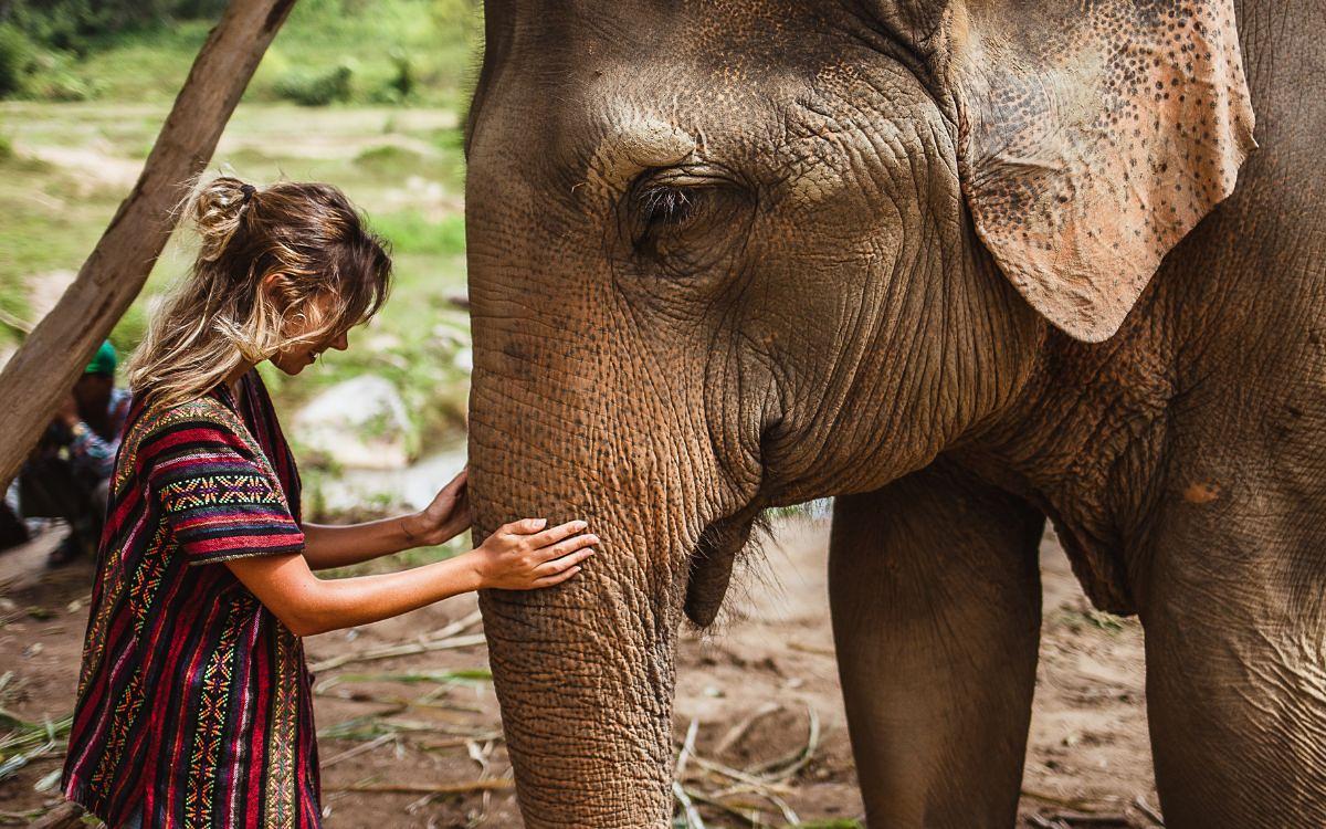 Muere una turista española tras ser víctima de un ataque de un elefante en Tailandia