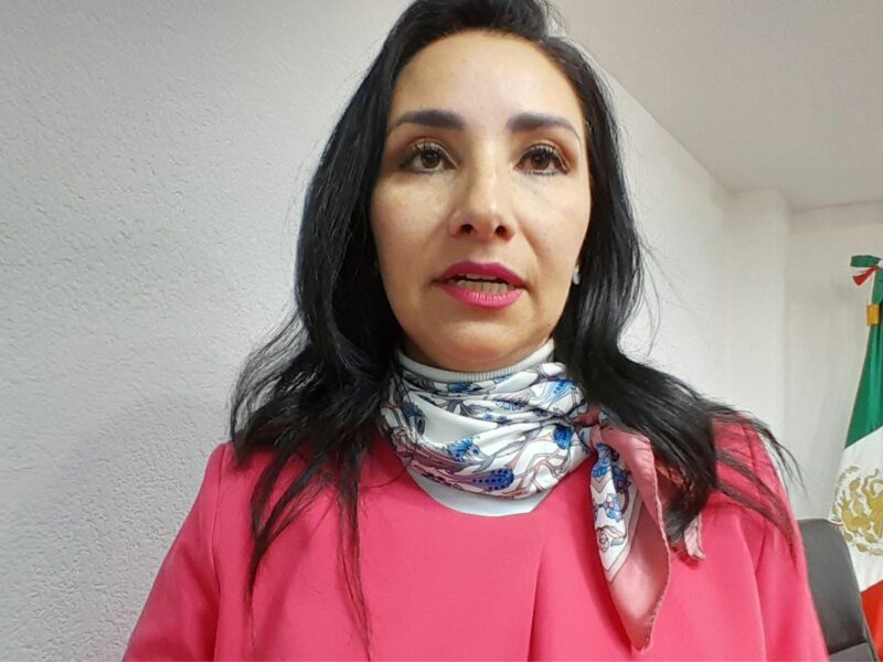 Razonable, sensación de incertidumbre por la elección del Poder Judicial: Alma Bahena