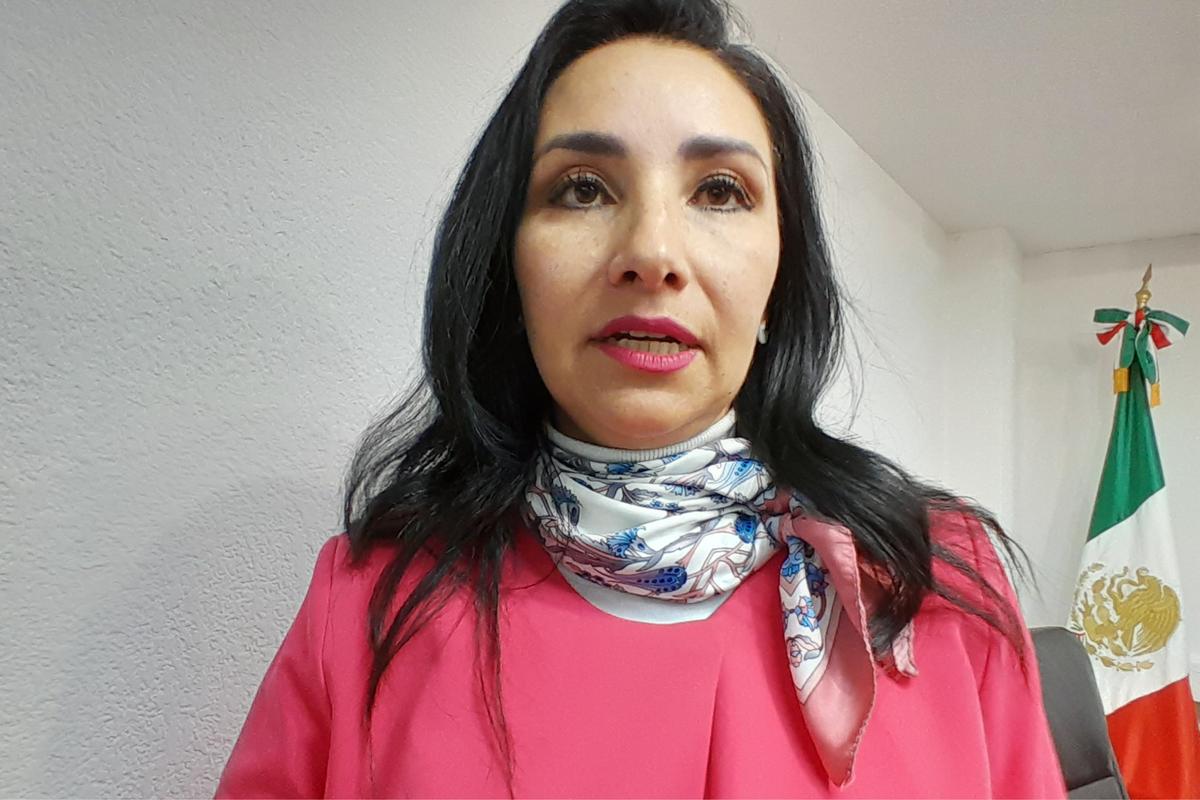 Razonable, sensación de incertidumbre por la elección del Poder Judicial: Alma Bahena