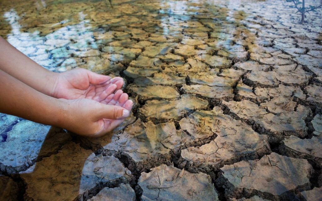 restauración ecológica en México de 150 millones de hectáreas