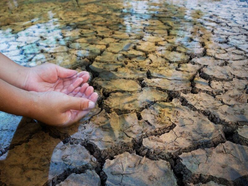 restauración ecológica en México de 150 millones de hectáreas